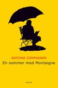 En sommer med Montaigne