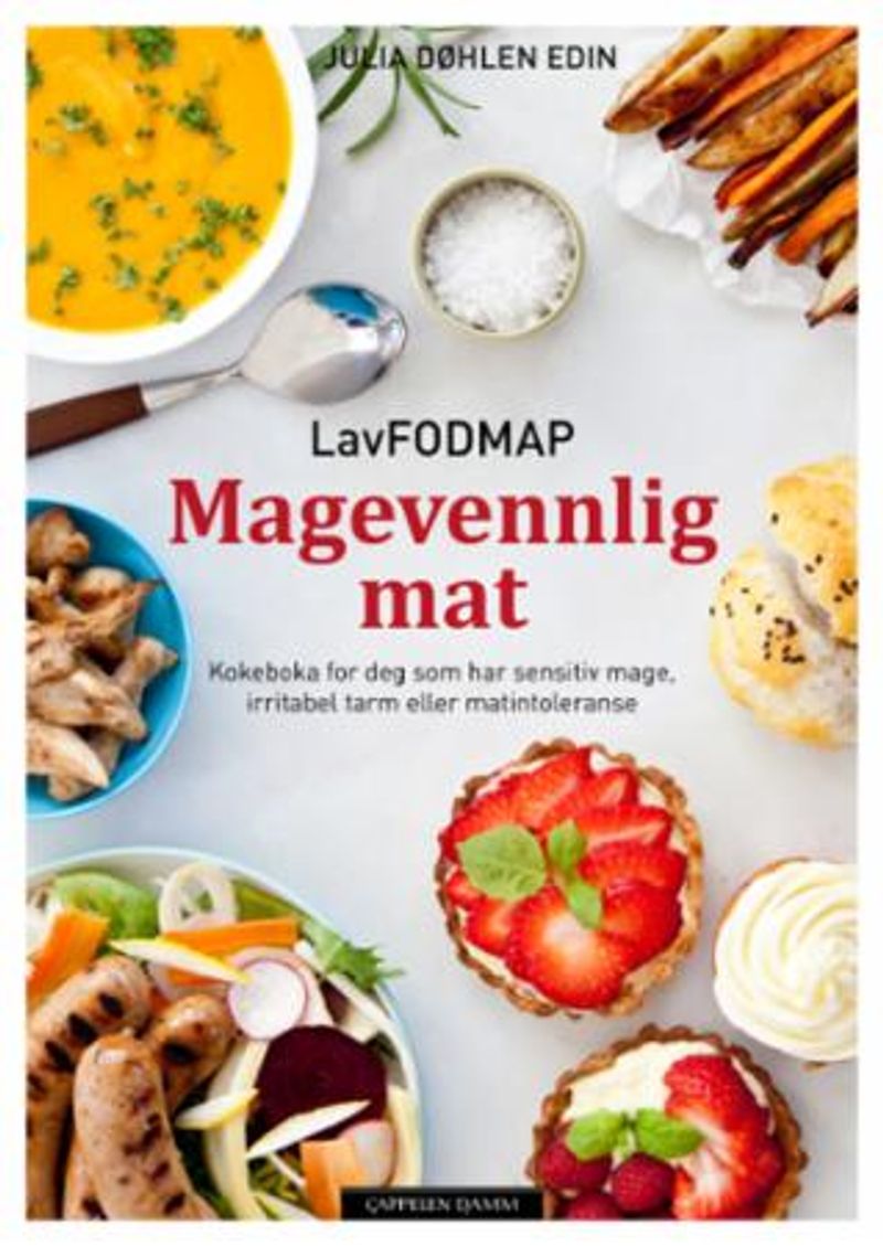 Magevennlig mat