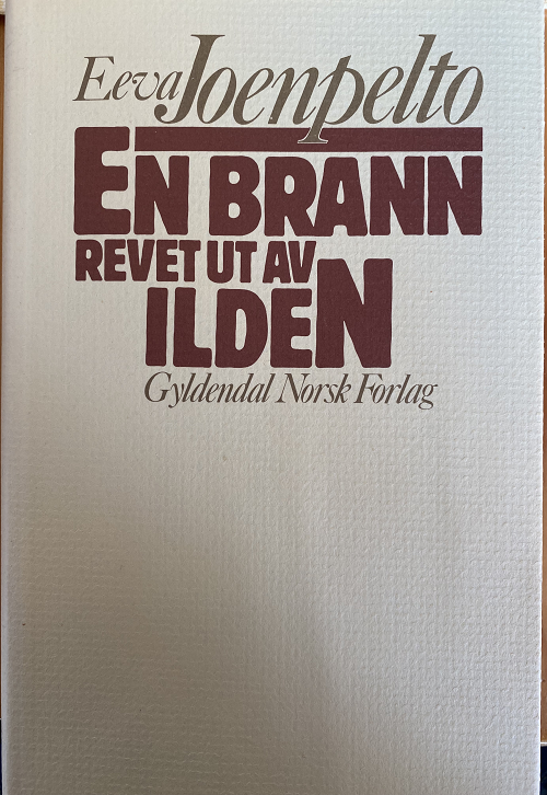 En brann, revet ut av ilden