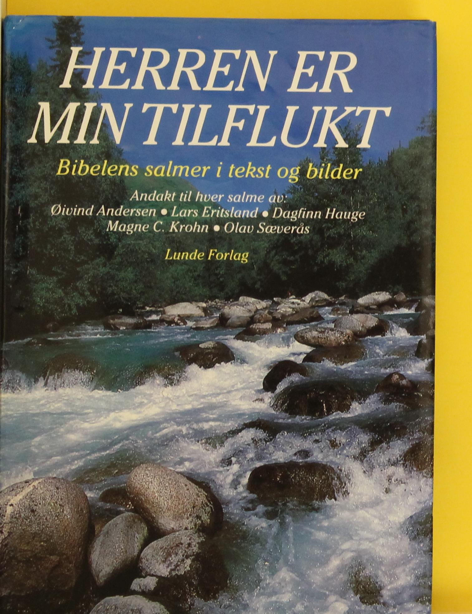 Herren er min tilflukt
