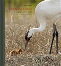 Whooping Crane : Images from the Wild