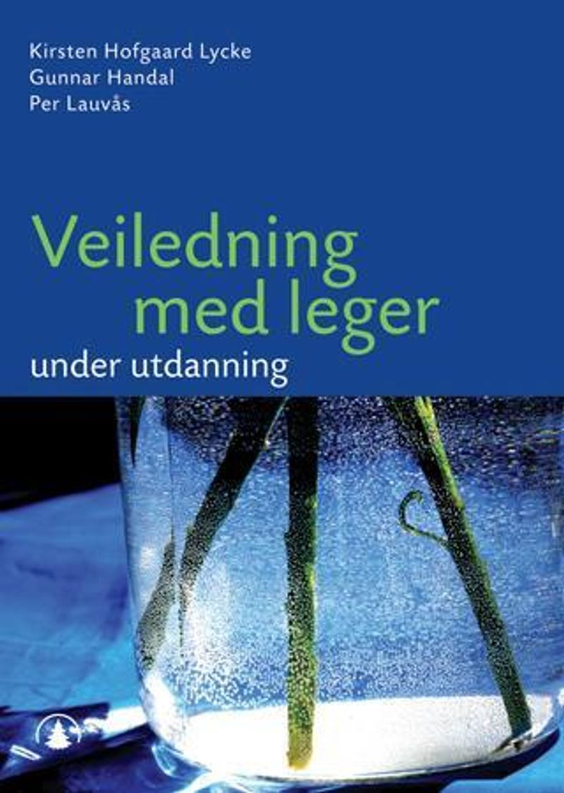 Veiledning med leger under utdanning