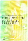 Flerkulturell forståelse i praksis