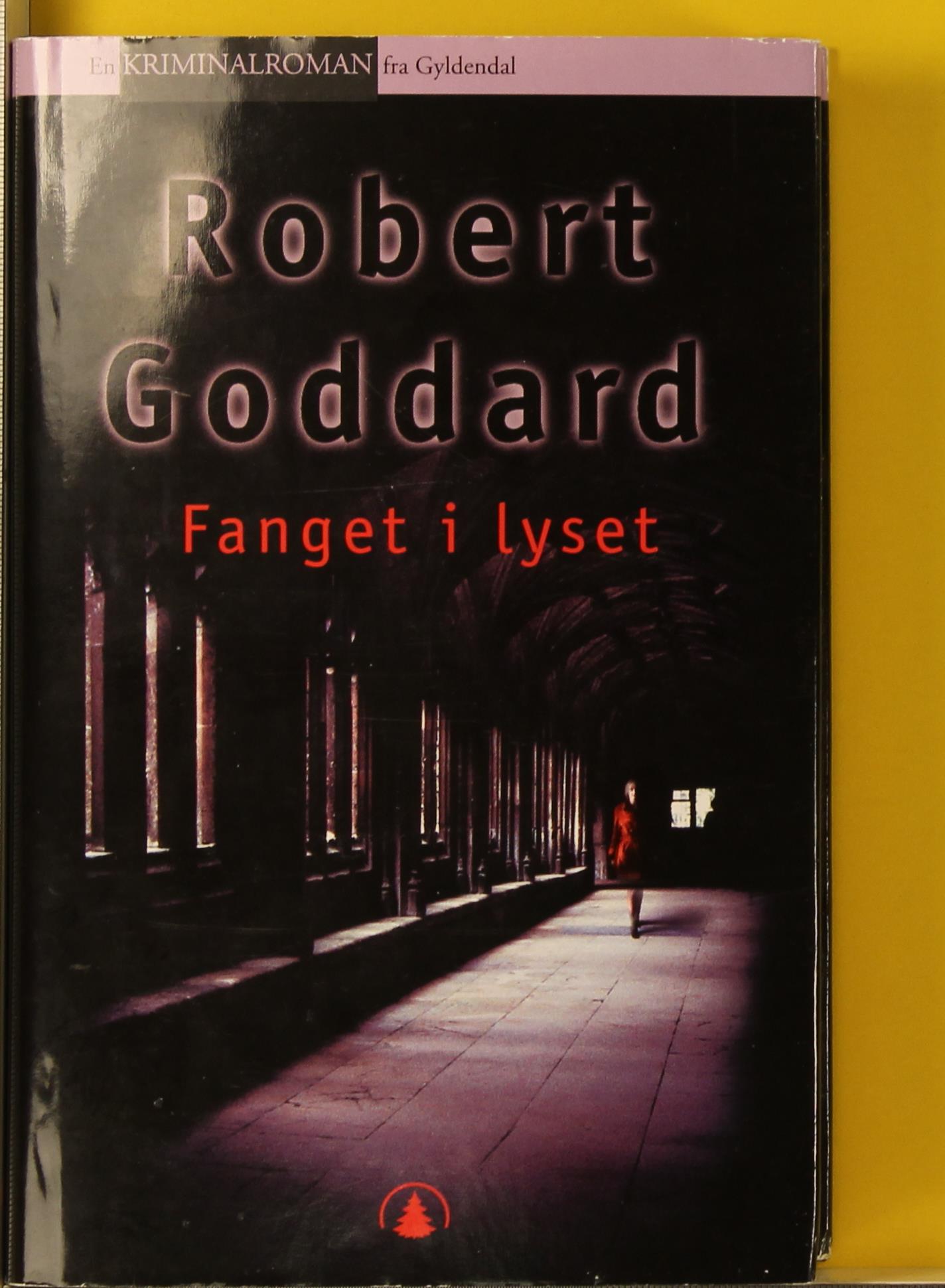 Fanget i lyset