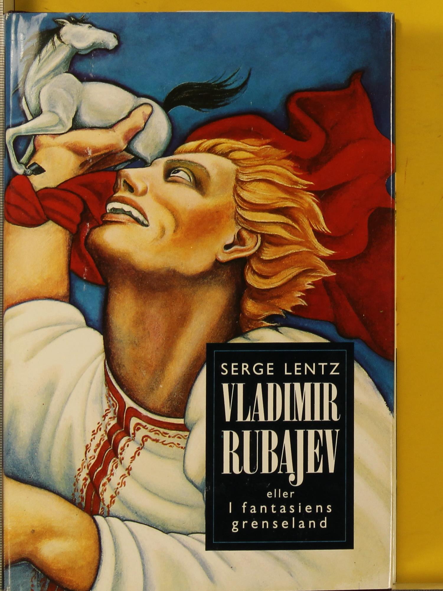 Vladimir Rubajev, eller I fantasiens grenseland : roman