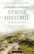 Stiens historie