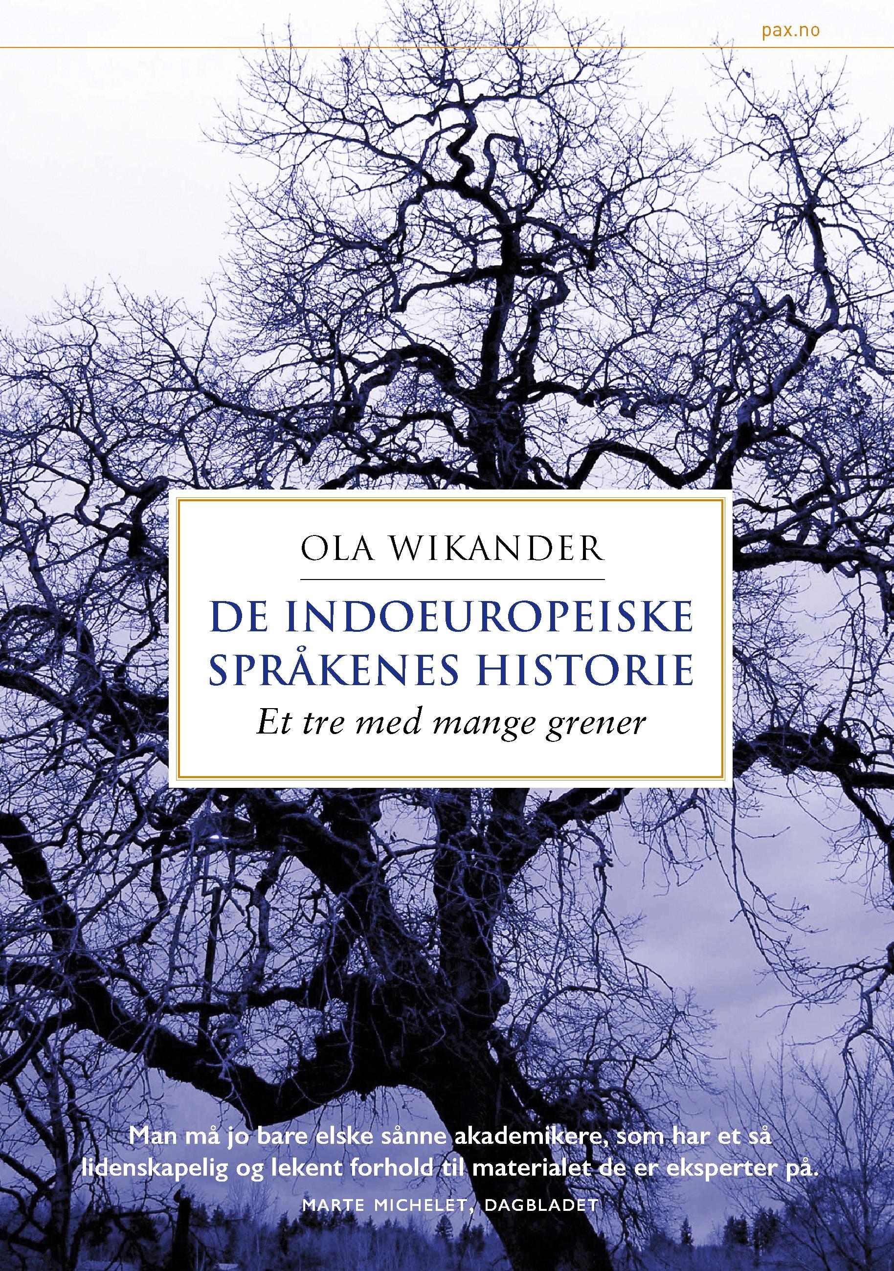 De indoeuropeiske språkenes historie
