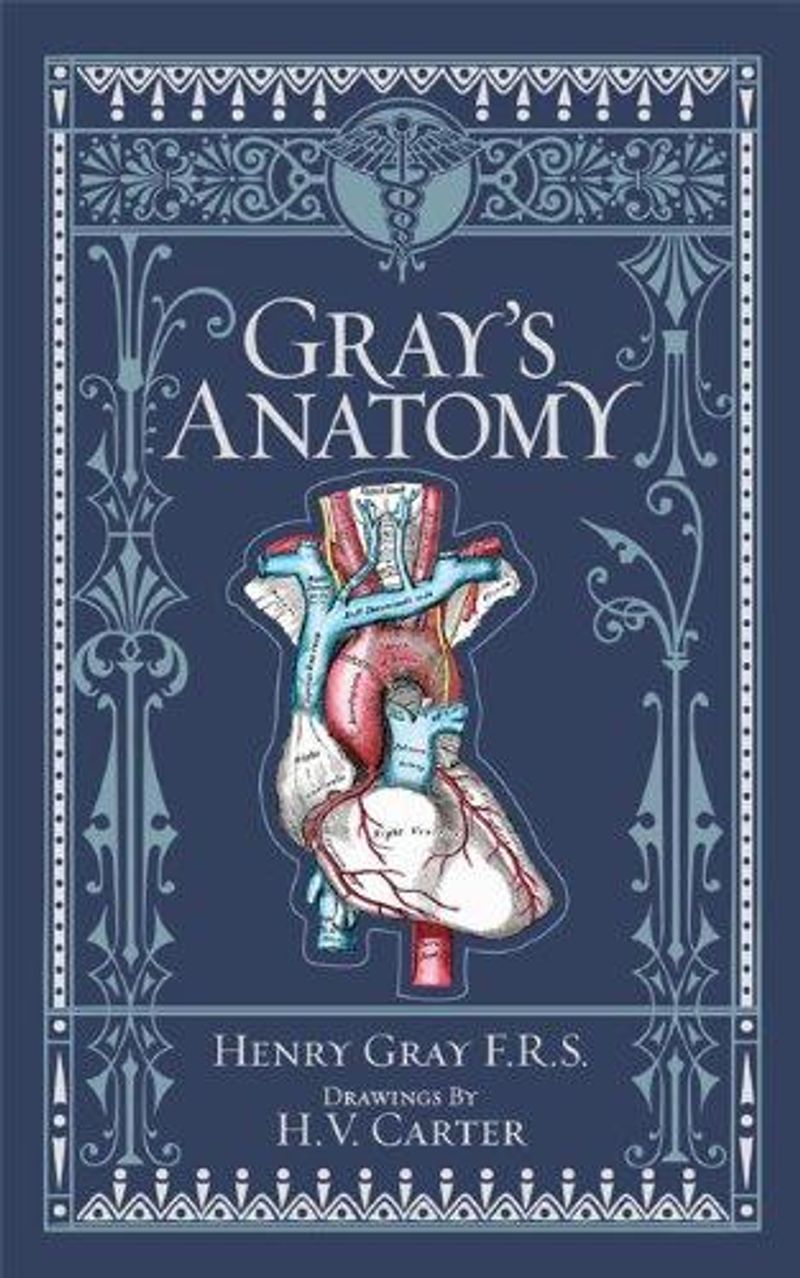 Gray's anatomy