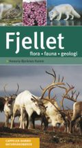 Fjellet