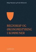 Regnskap og økonomistyring i kommuner