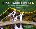 E134 Haukelivegen