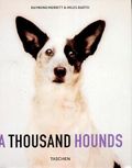 A thousand hounds = Tausend hunde = Un millier de chiens