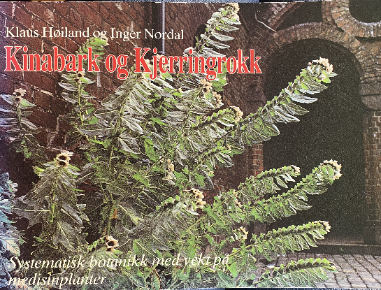 Kinabark og kjerringrokk
