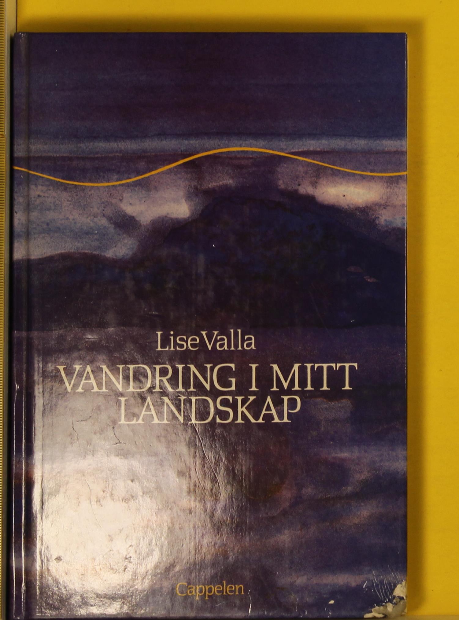 Vandring i mitt landskap