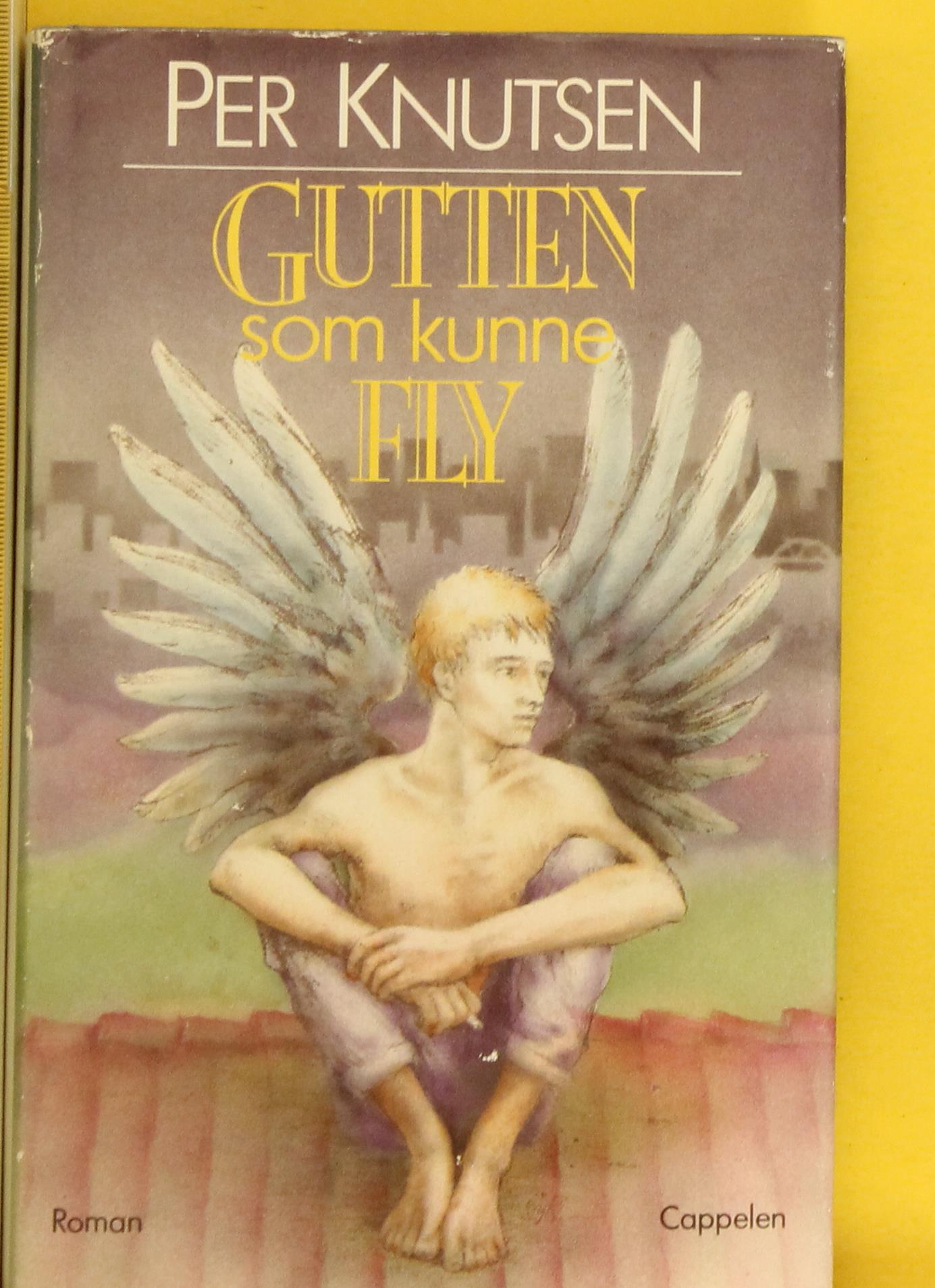 Gutten som kunne fly