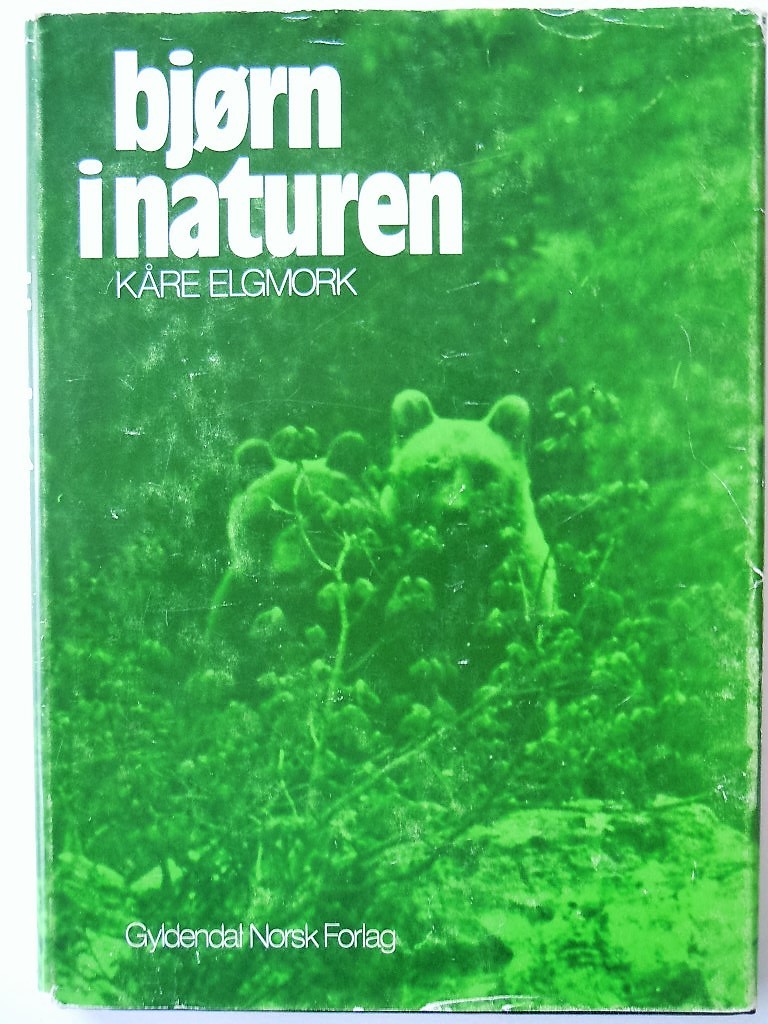 Bjørn i naturen