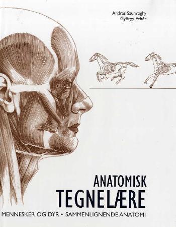 Anatomisk tegnelære