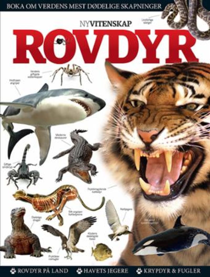 Rovdyr