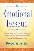 Emotional Rescue: How to Work with Your Emotions to Transform Hurt and Confusion Into Energy That Empowers You