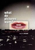 What Do Pictures Want?