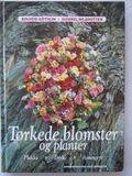 Tørkede blomster og planter