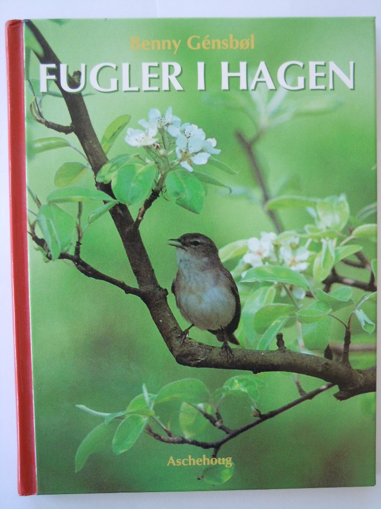 Fugler i hagen