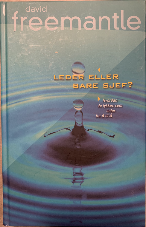 Leder eller bare sjef?