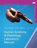 Human Anatomy & Physiology