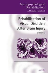 Rehabilitation of Visual Disorders after Brain Injury