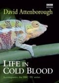 Life in Cold Blood