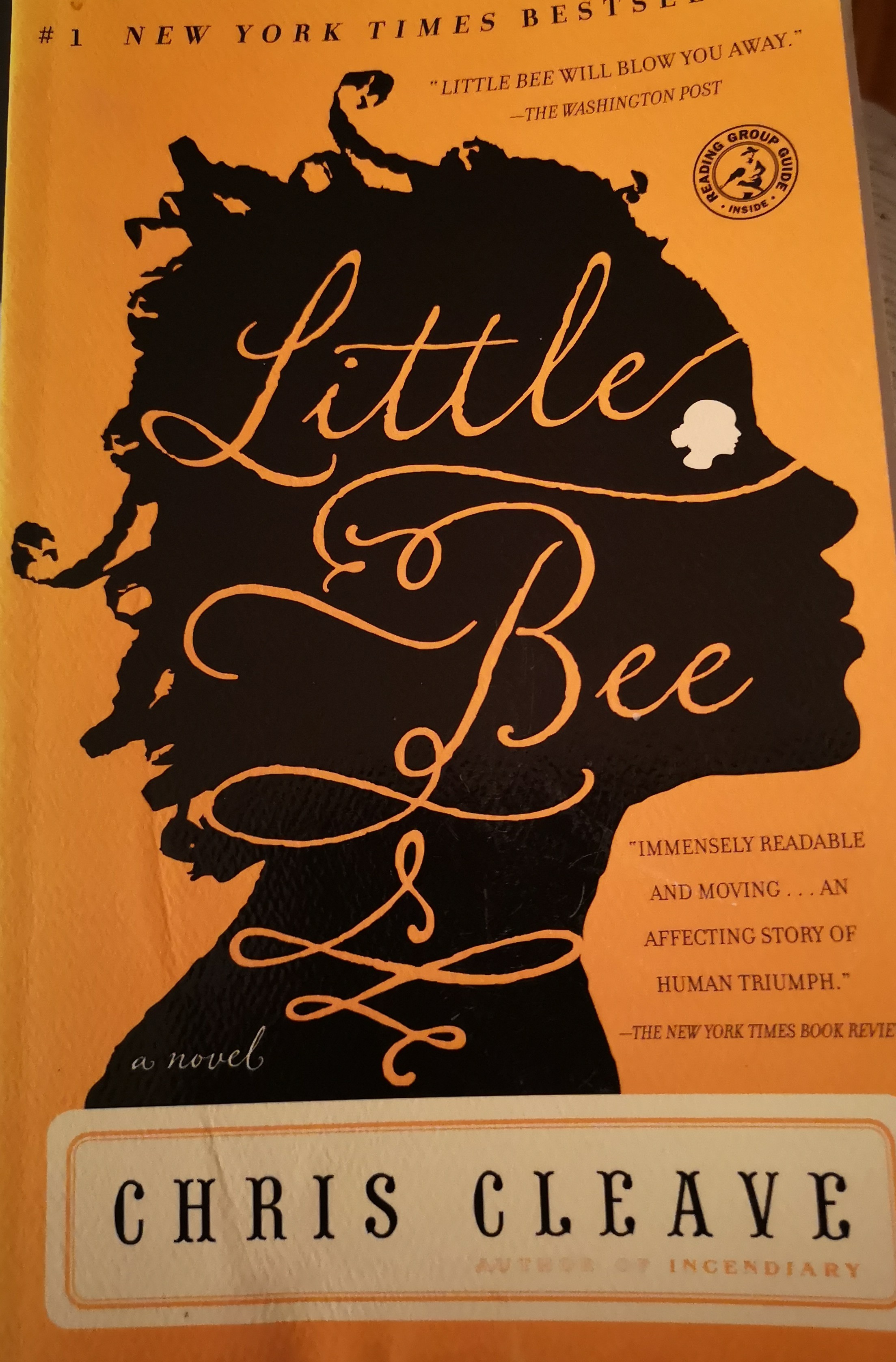 Little Bee