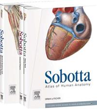 Sobotta, Atlas of Anatomy