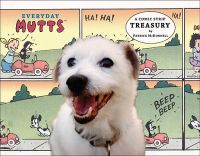 Everyday Mutts: A Comic Strip Treasury