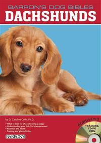 Dachshunds