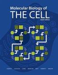 Molecular Biology of the Cell