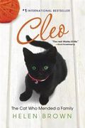 Cleo: The Cat Who Mended a Family