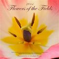 Flowers of the Fields 2014 Calendar