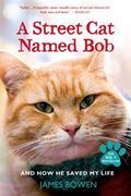 A Street Cat Named Bob and How He Saved My Life