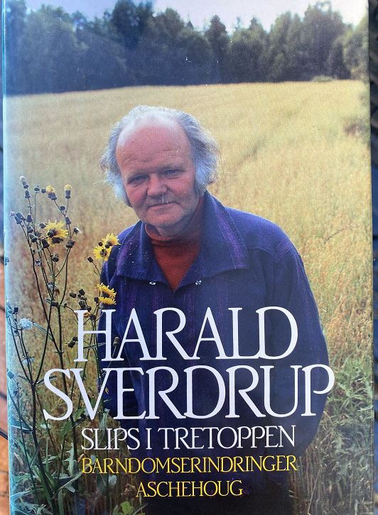 Slips i tretoppen