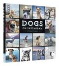 Dogs on Instagram