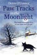 Paw Tracks in the Moonlight