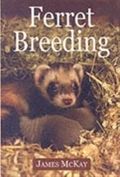 Ferret Breeding