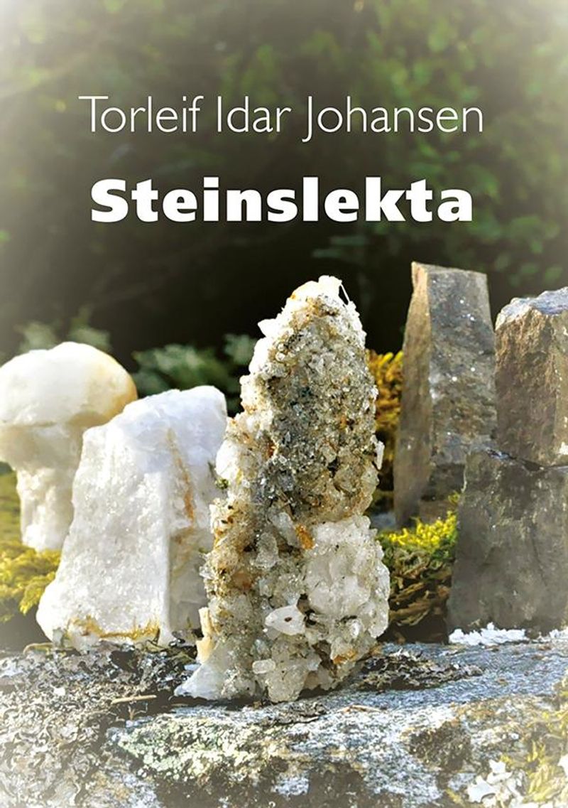 Steinslekta