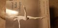 Classical Ballet Technique