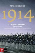 1914 Stridens skönhet och sorg : första världskrigets inledande år i 68 korta kapitel