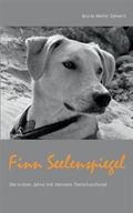 Finn Seelenspiegel