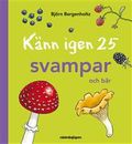 Känn igen 25 svampar och bär