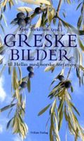 Greske bilder