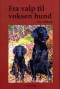 Fra valp til voksen hund