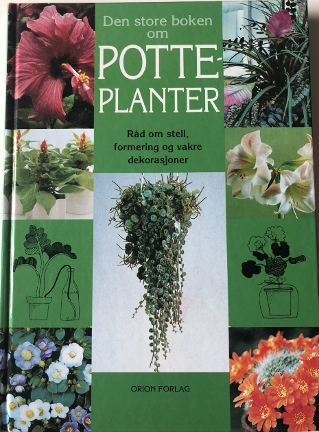 Den store boken om potteplanter